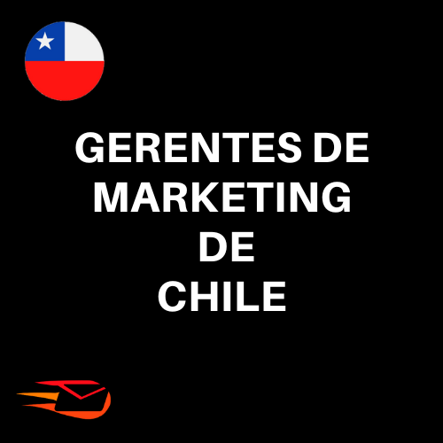 Base de datos Gerentes de Marketing Chile 2023 (40.000 Contactos), archivo excel descargable